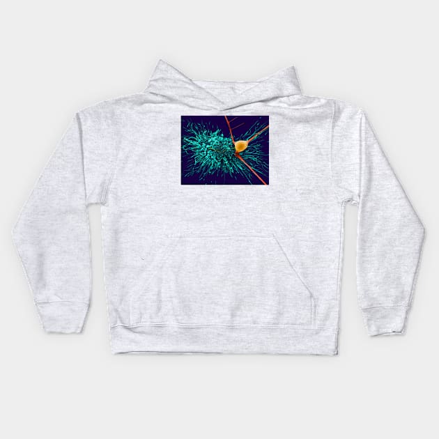 Astrocytic glial cell with cortical neuron, SEM (C032/0041) Kids Hoodie by SciencePhoto